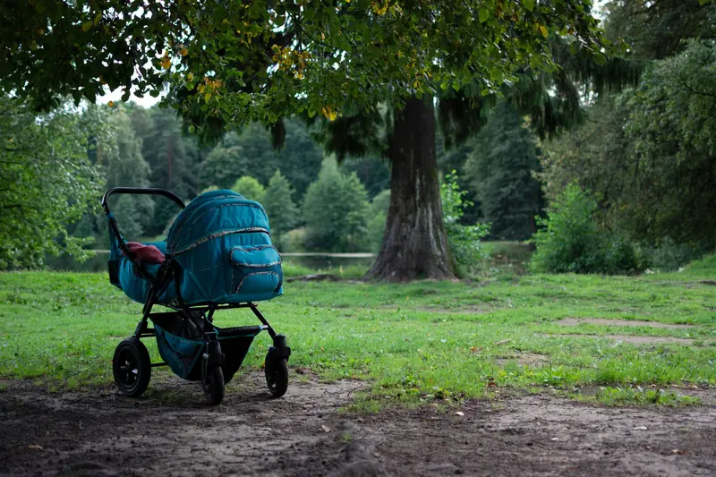 A serene park setting with a baby stroller under a tree, capturing nature's calm